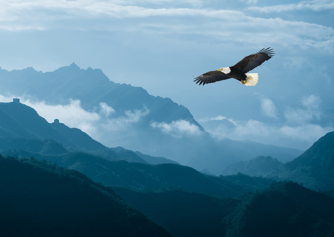 Adler fliegt hoch über den Bergen
