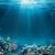 Die Tierschutzseite, Teil 7: Leben in der Tiefe des Ozeans: Meerestiere
