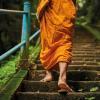 Die 10 weisen Tugenden im Buddhismus