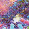 Der Darm und die Unverzichtbarkeit von Symbiose