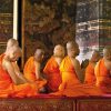 Studien zur Maitri-/Metta Meditation